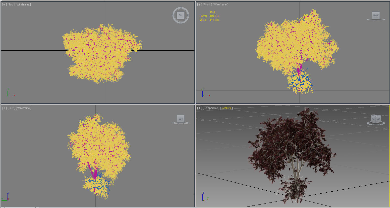Tree Hazel red 01 3D model_11