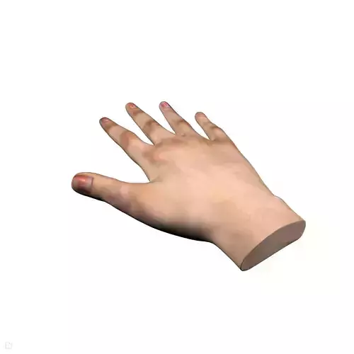 VR Female Hands