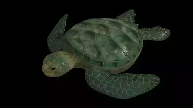 Sea turtle PBR rigged 3D model