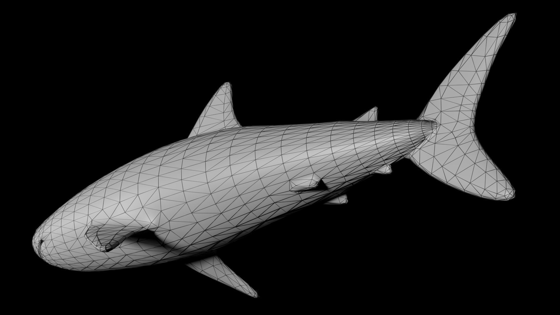 Shark PBR rigged 3D model_10