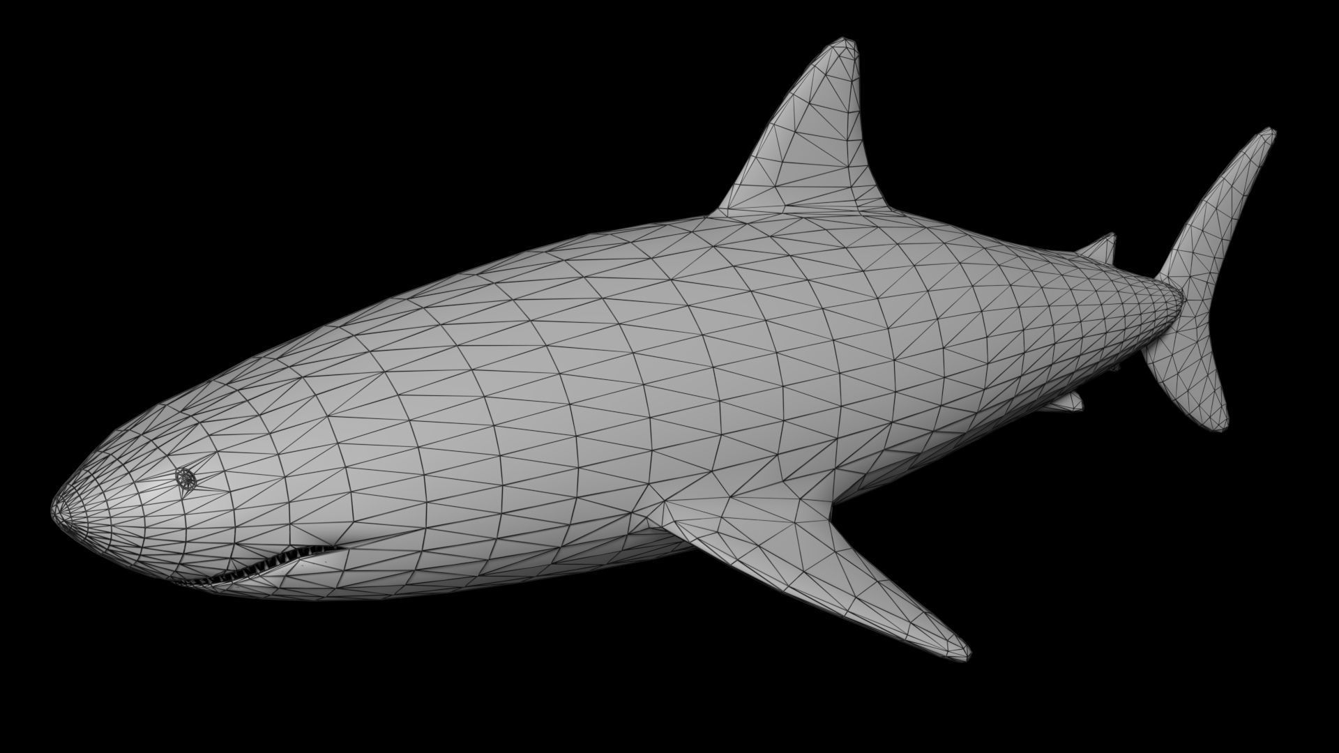 Shark PBR rigged 3D model_7