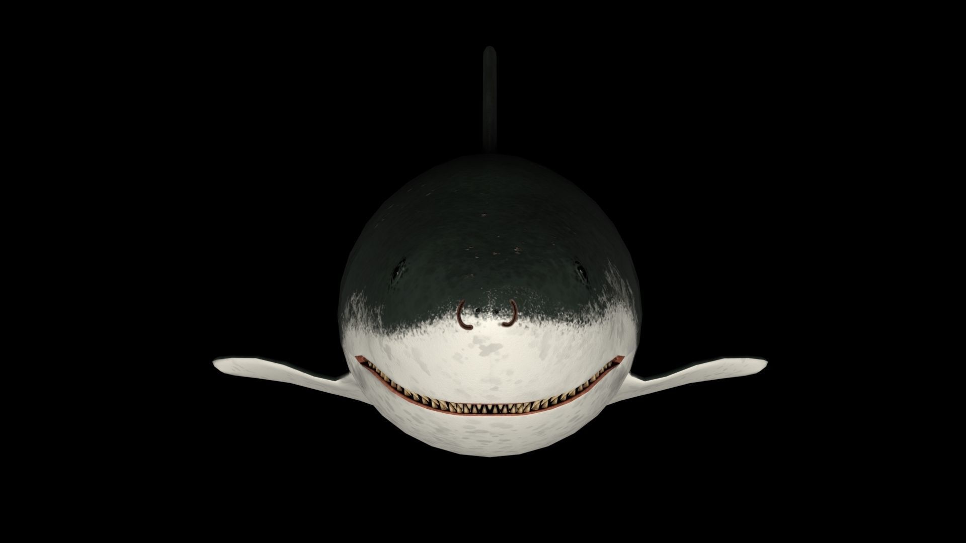 Shark PBR rigged 3D model_2