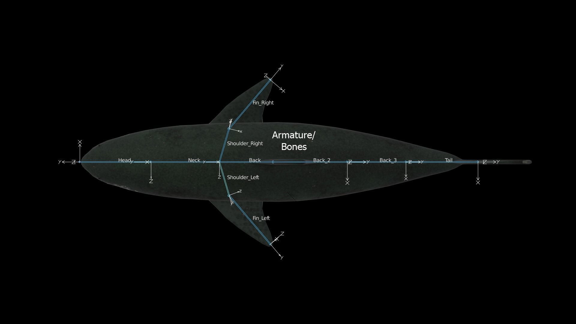 Shark PBR rigged 3D model_6