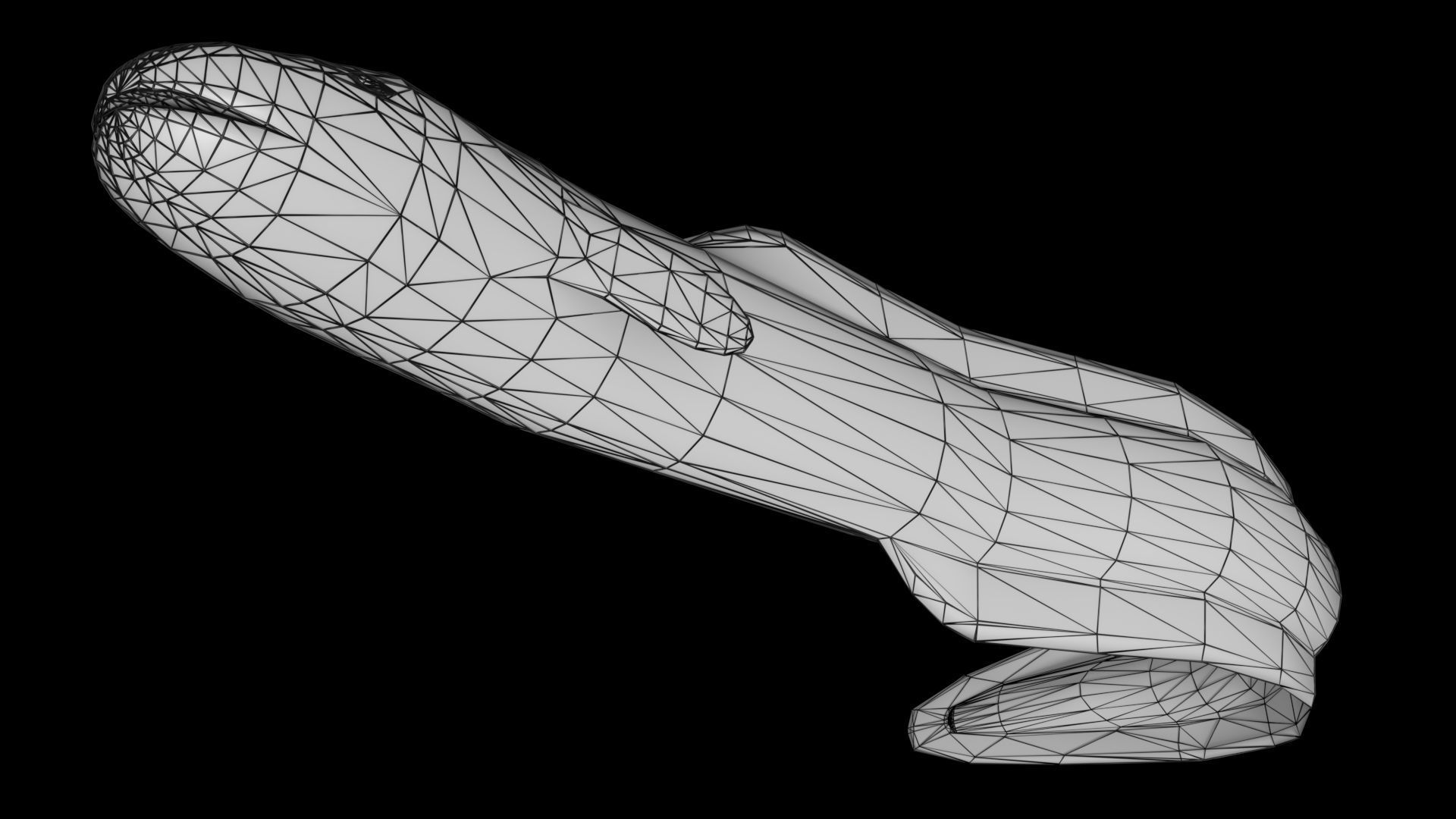 Eel PBR rigged 3D model_7