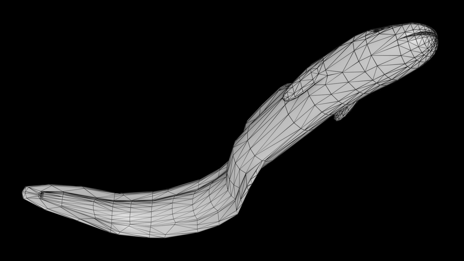 Eel PBR rigged 3D model_9