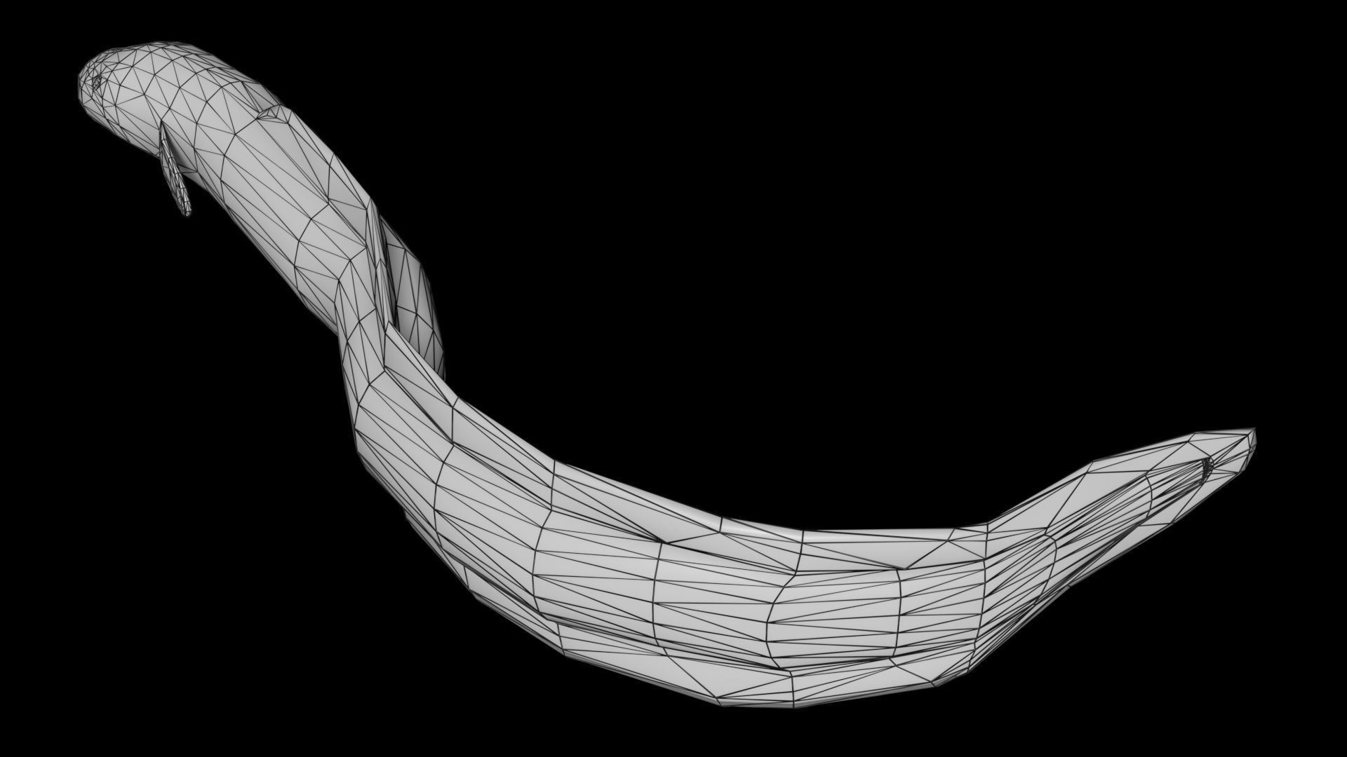 Eel PBR rigged 3D model_8