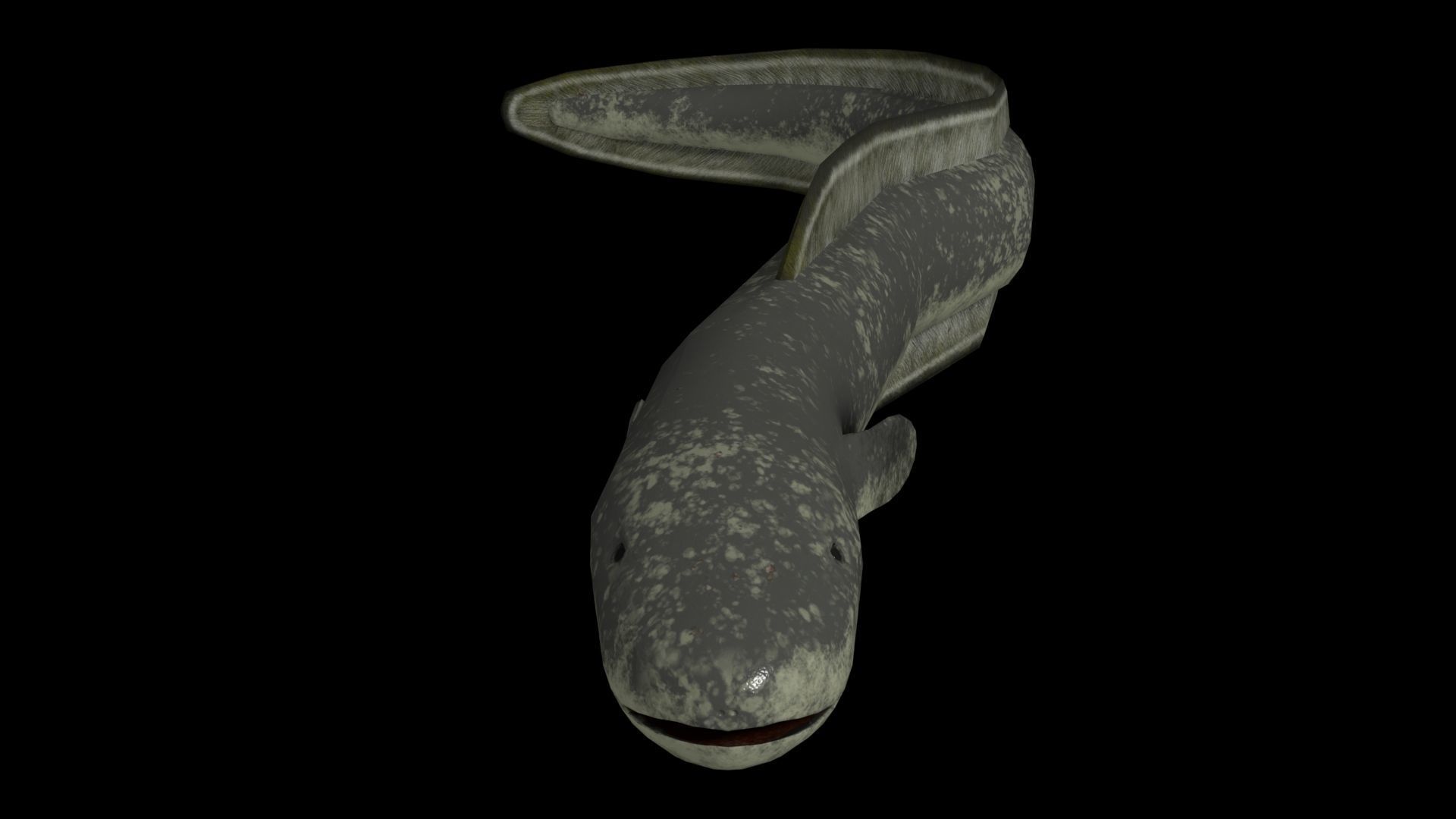 Eel PBR rigged 3D model_3