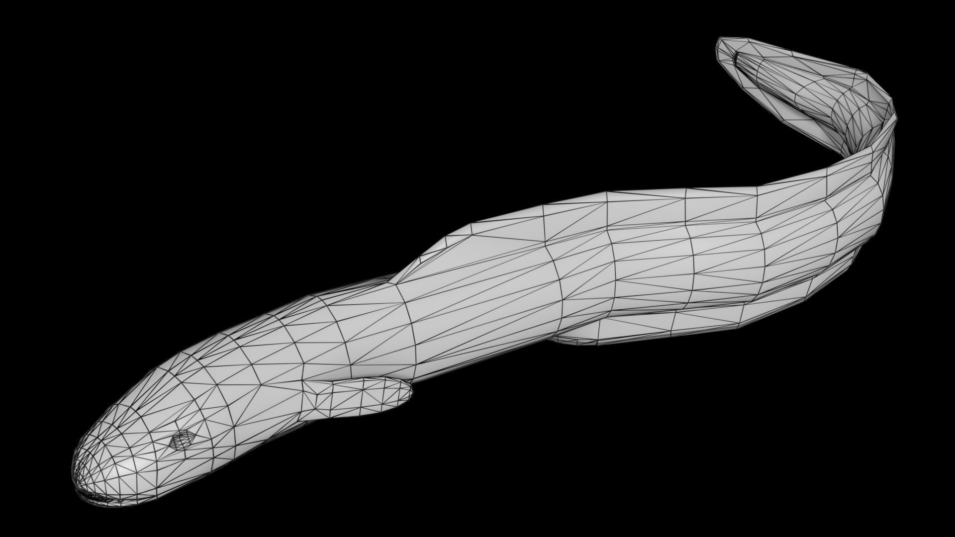 Eel PBR rigged 3D model_6