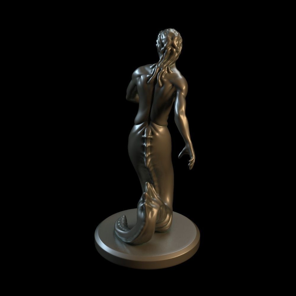 Scylla siren 3D print model_3