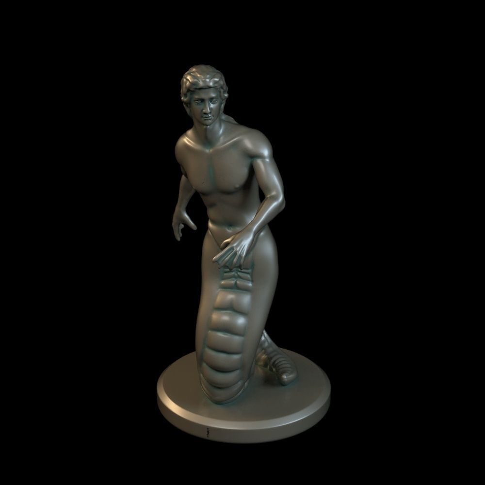 Scylla siren 3D print model_1
