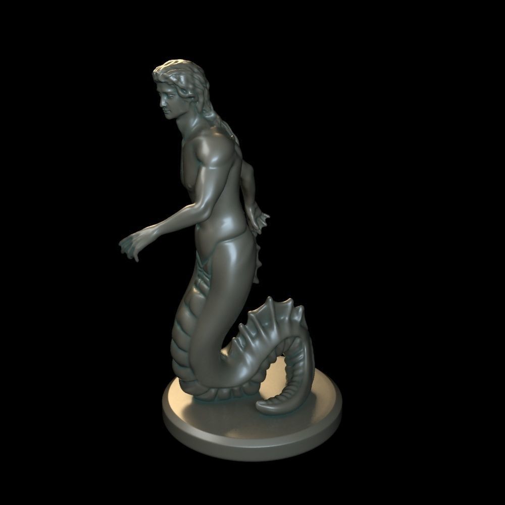 Scylla siren 3D print model_4