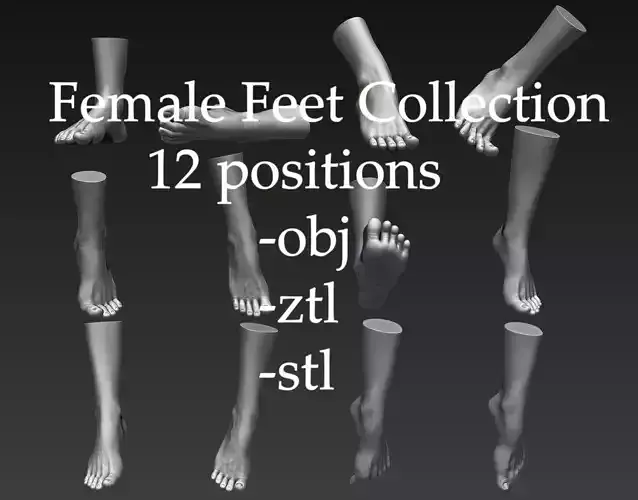 12 Female Feet 3D model