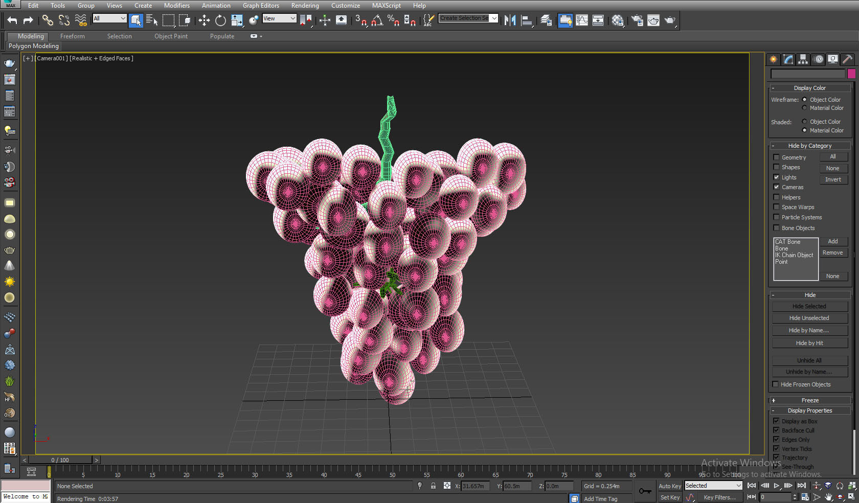 Green Grape 3D model_2