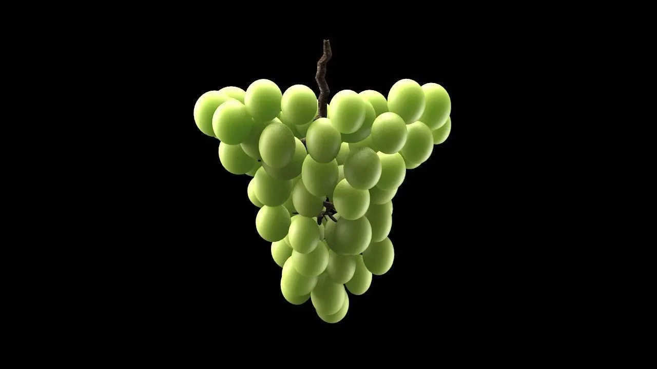 Green Grape 3D model_0