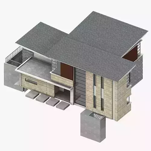 Villa modern house