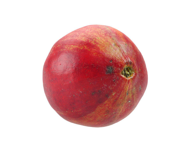 Photorealistic Pomegranate 3D Scan 3D model 5