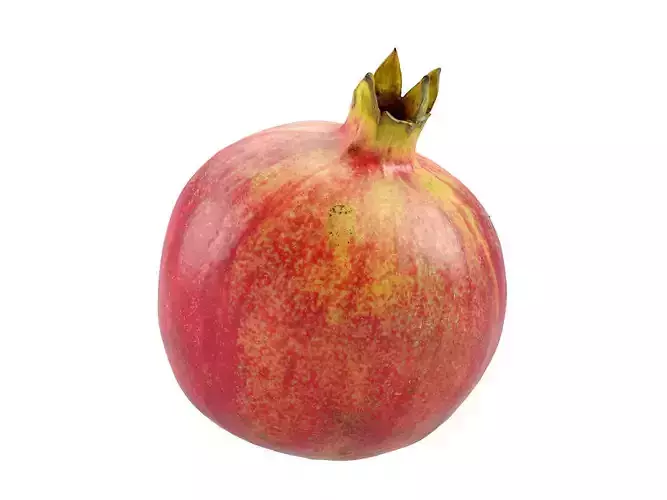 Photorealistic Pomegranate 3D Scan