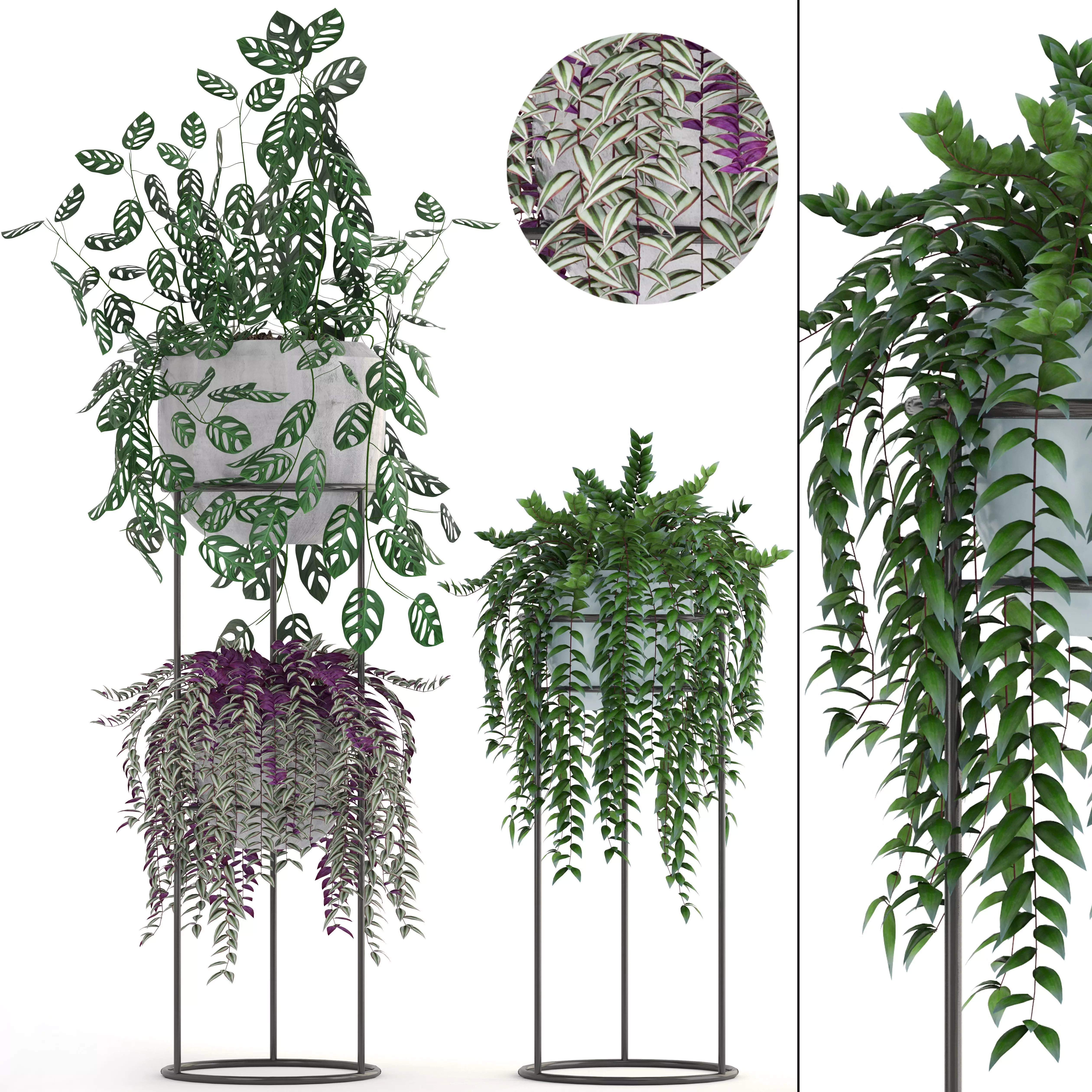 Collection plants fern planter 3D model