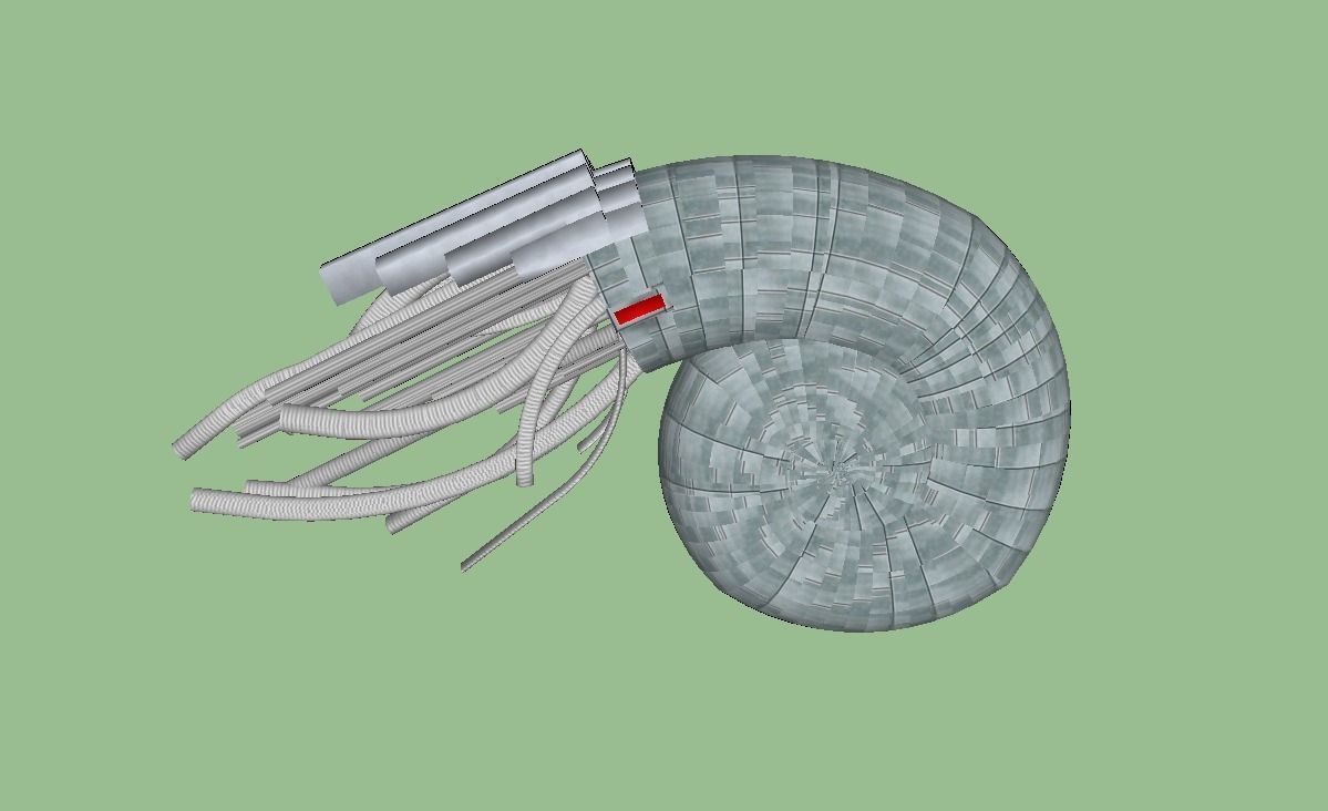 NAUTILIS 20 Free 3D model