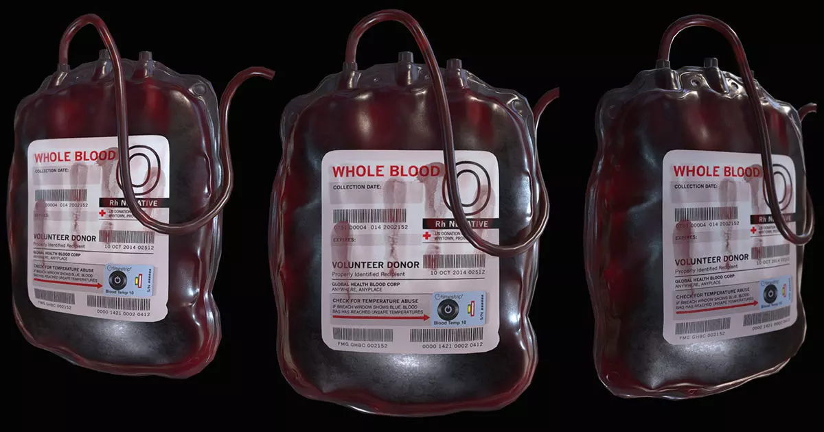 Blood Bag Low-poly 3D model_0
