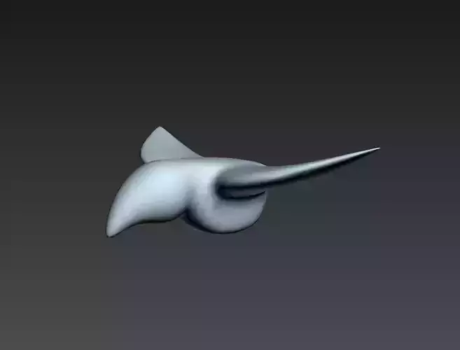 Bird model head