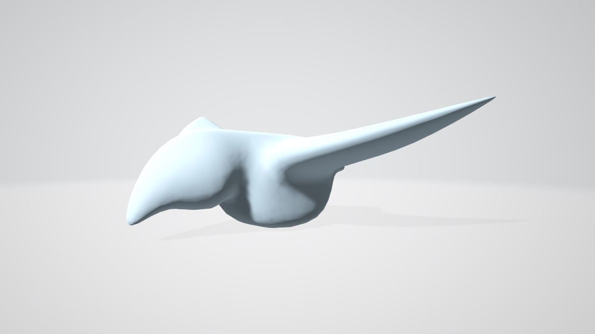Bird model head 3D model_12