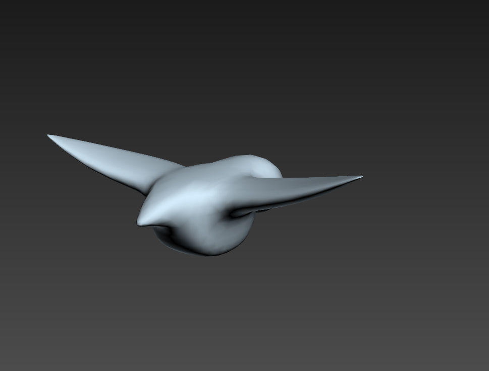 Bird model head 3D model_7
