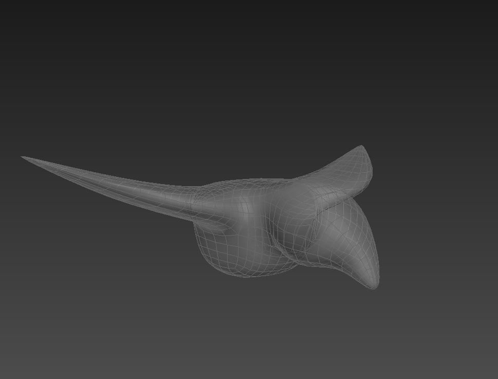 Bird model head 3D model_9