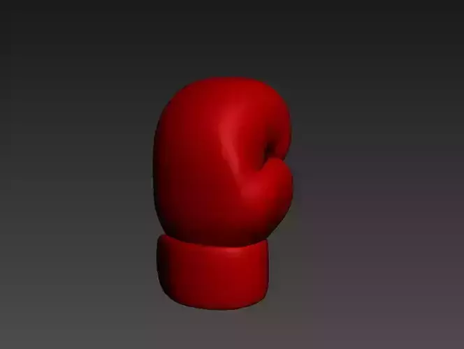 Boxing Glove