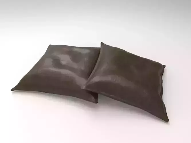 pillows leather
