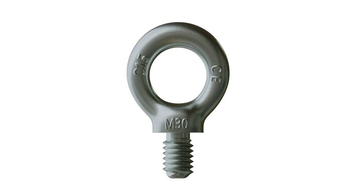 eyebolt swivel head screw 3D model
