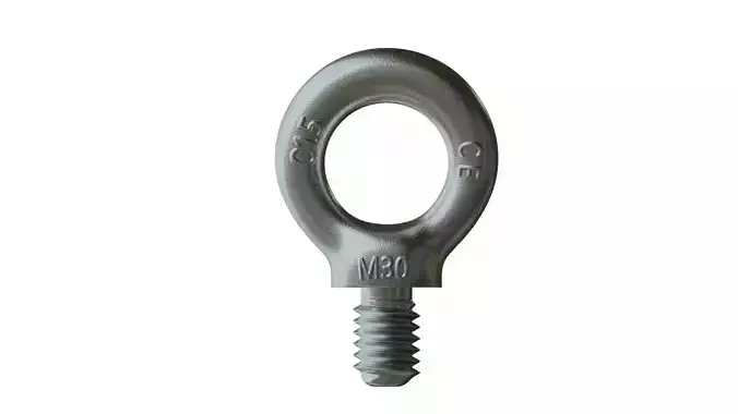 eyebolt swivel head screw