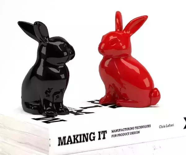 3D Bunny Rabbit Books