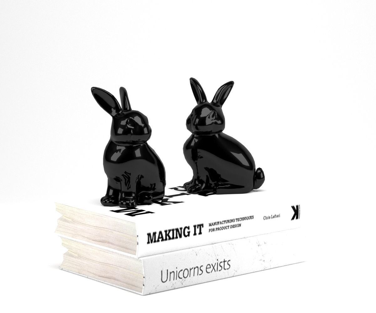 3D Bunny Rabbit Books 3D model_1