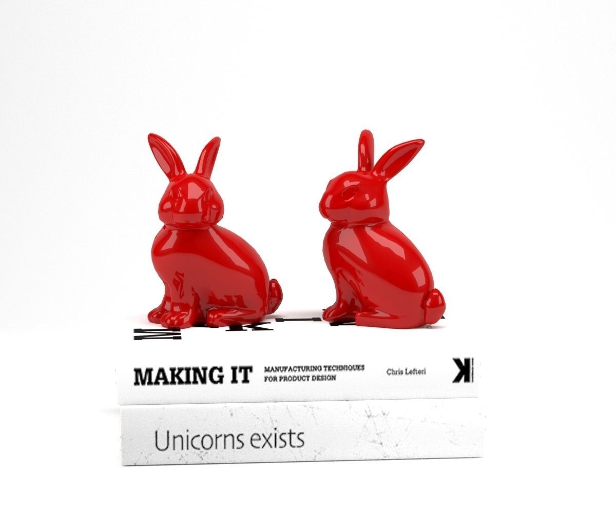 3D Bunny Rabbit Books 3D model_2