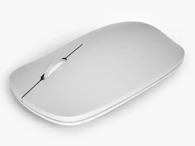 Computer Mouse