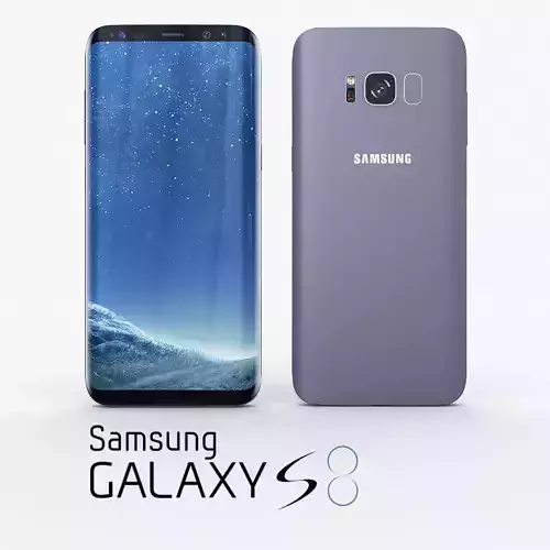 Samsung Galaxy S8 Orchid Gray