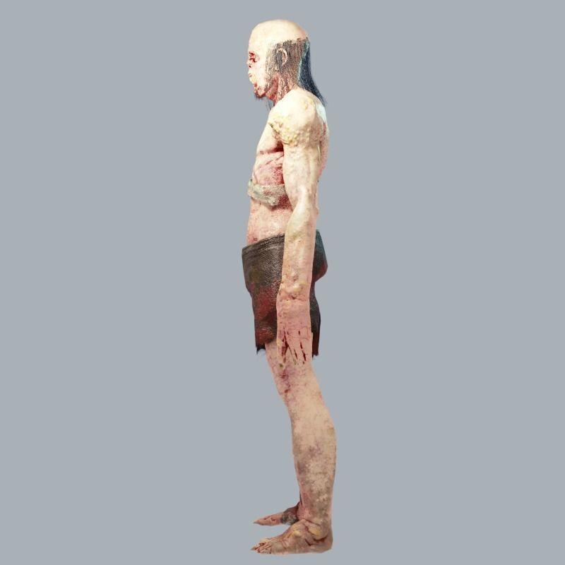 Zombie Abomination Low-poly 3D model_4
