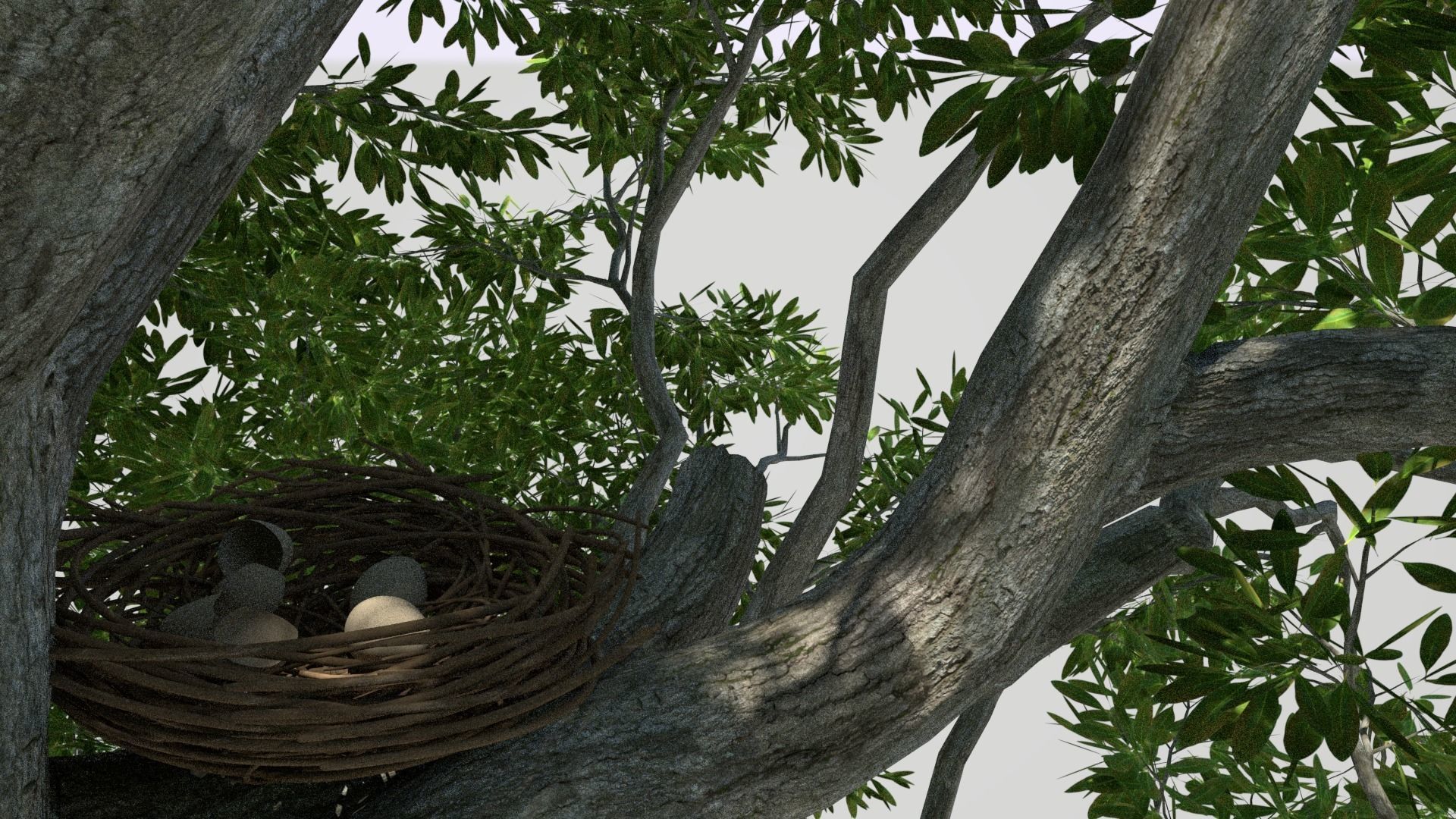 Bird Nest low Poly Low-poly 3D model_5