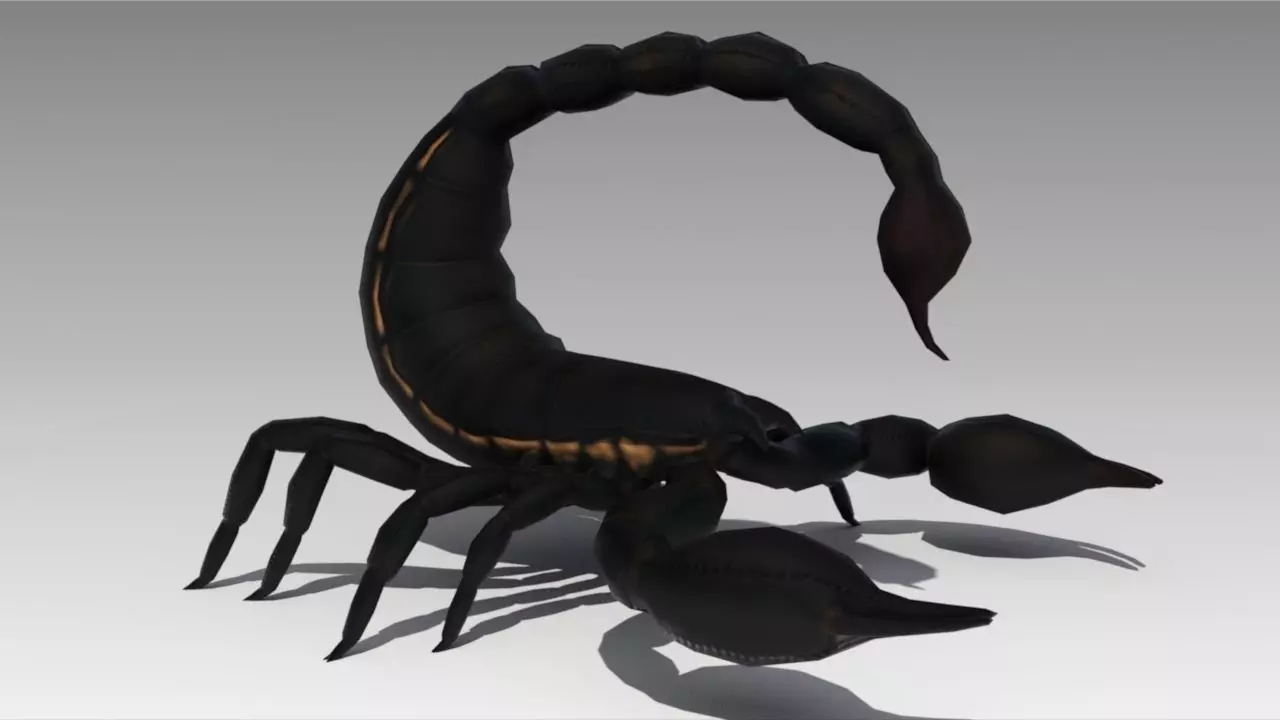 Black Scorpion Low-poly 3D model_0
