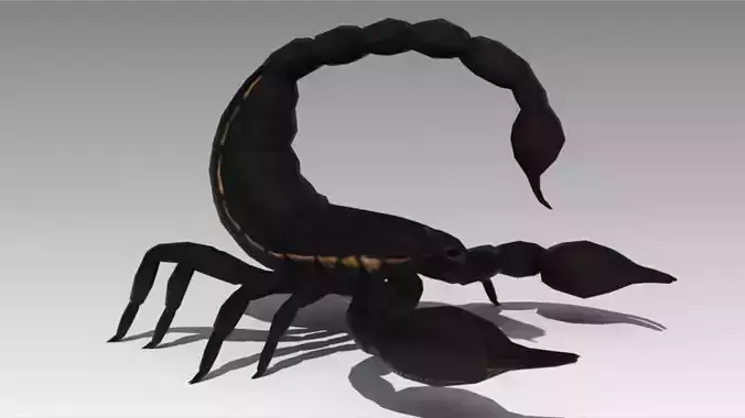 Black Scorpion Low-poly 3D model