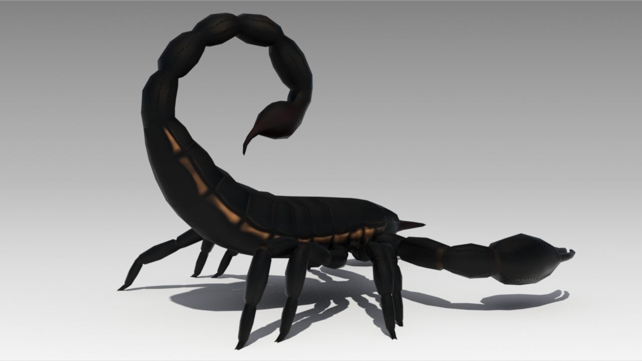 Black Scorpion Low-poly 3D model_2