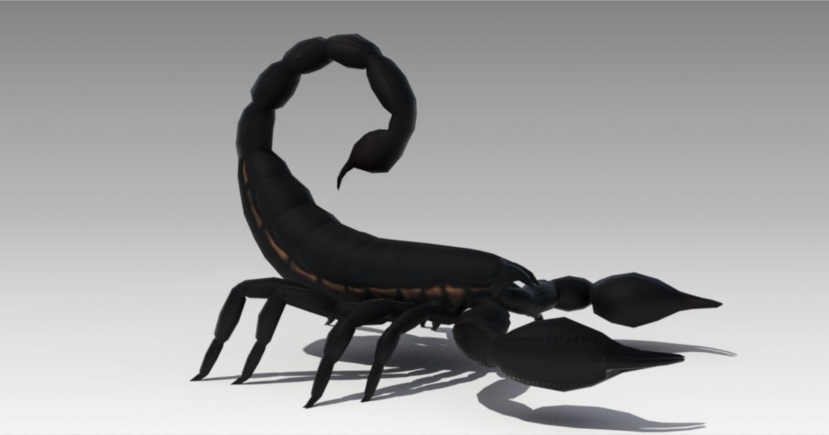 Black Scorpion Low-poly 3D model_4