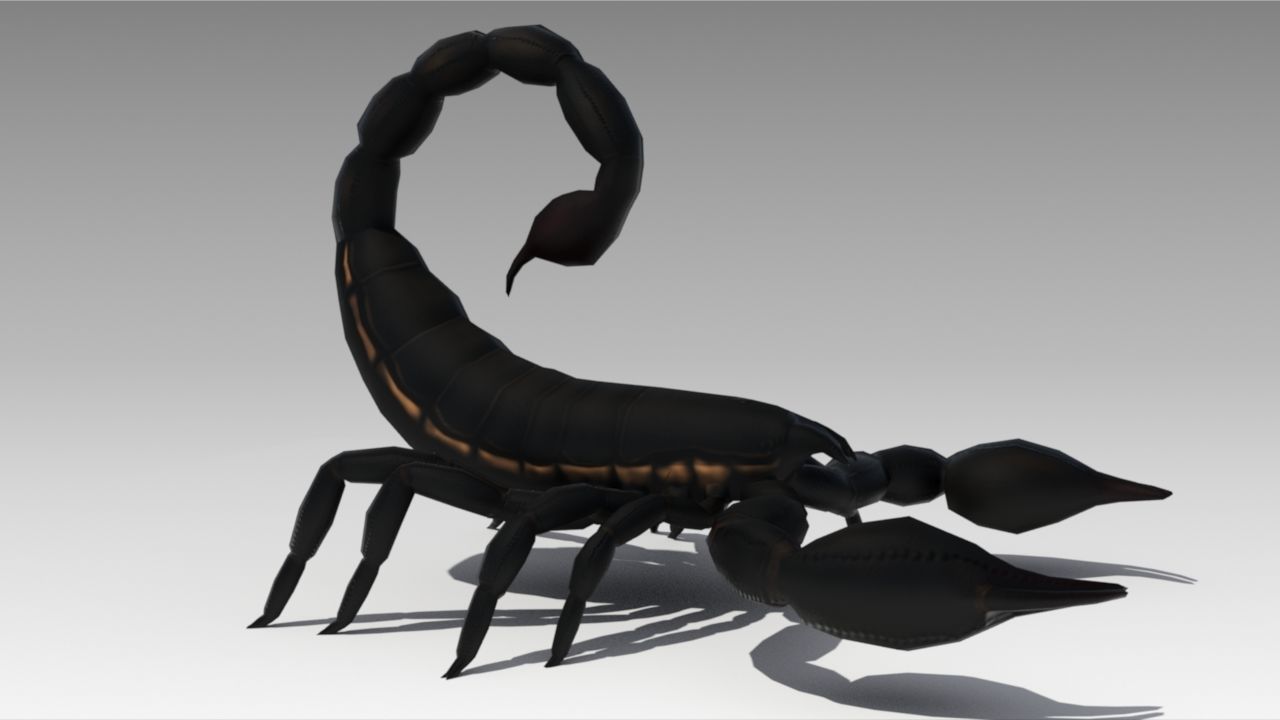 Black Scorpion Low-poly 3D model_3