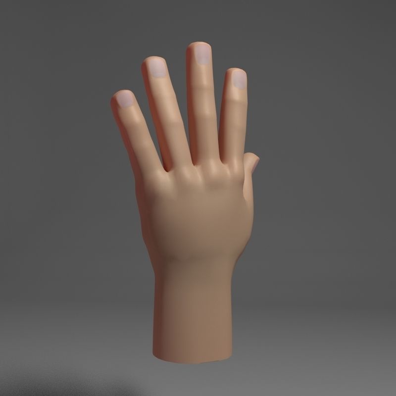 Toon Hand Low-poly 3D model_3