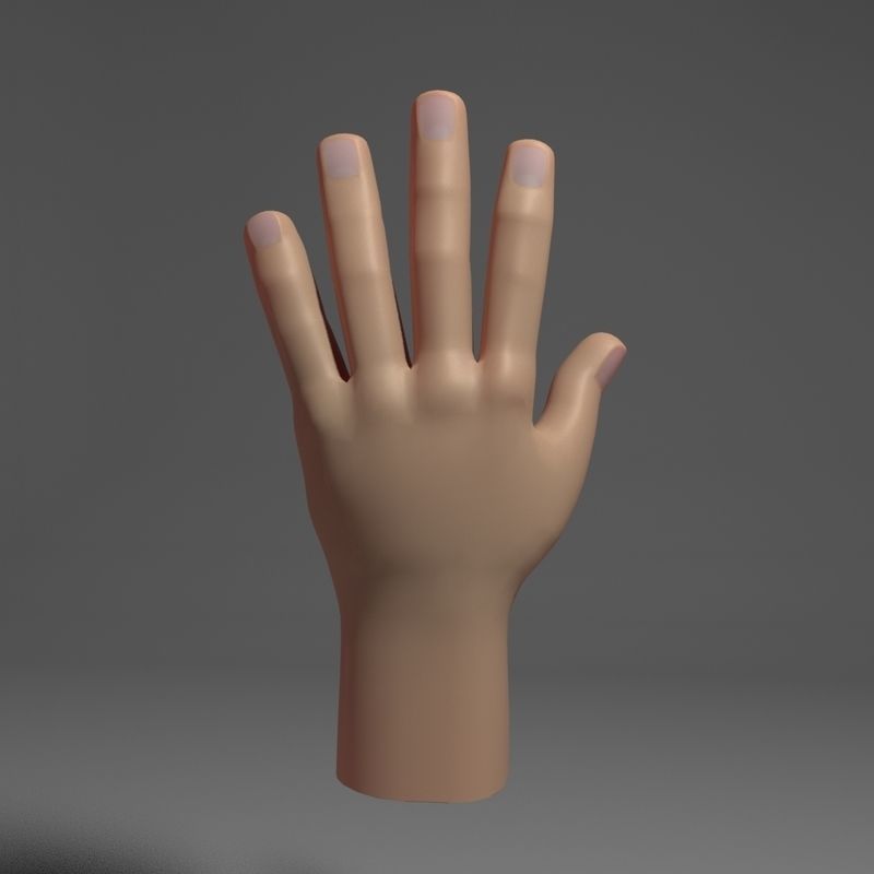 Toon Hand Low-poly 3D model_2