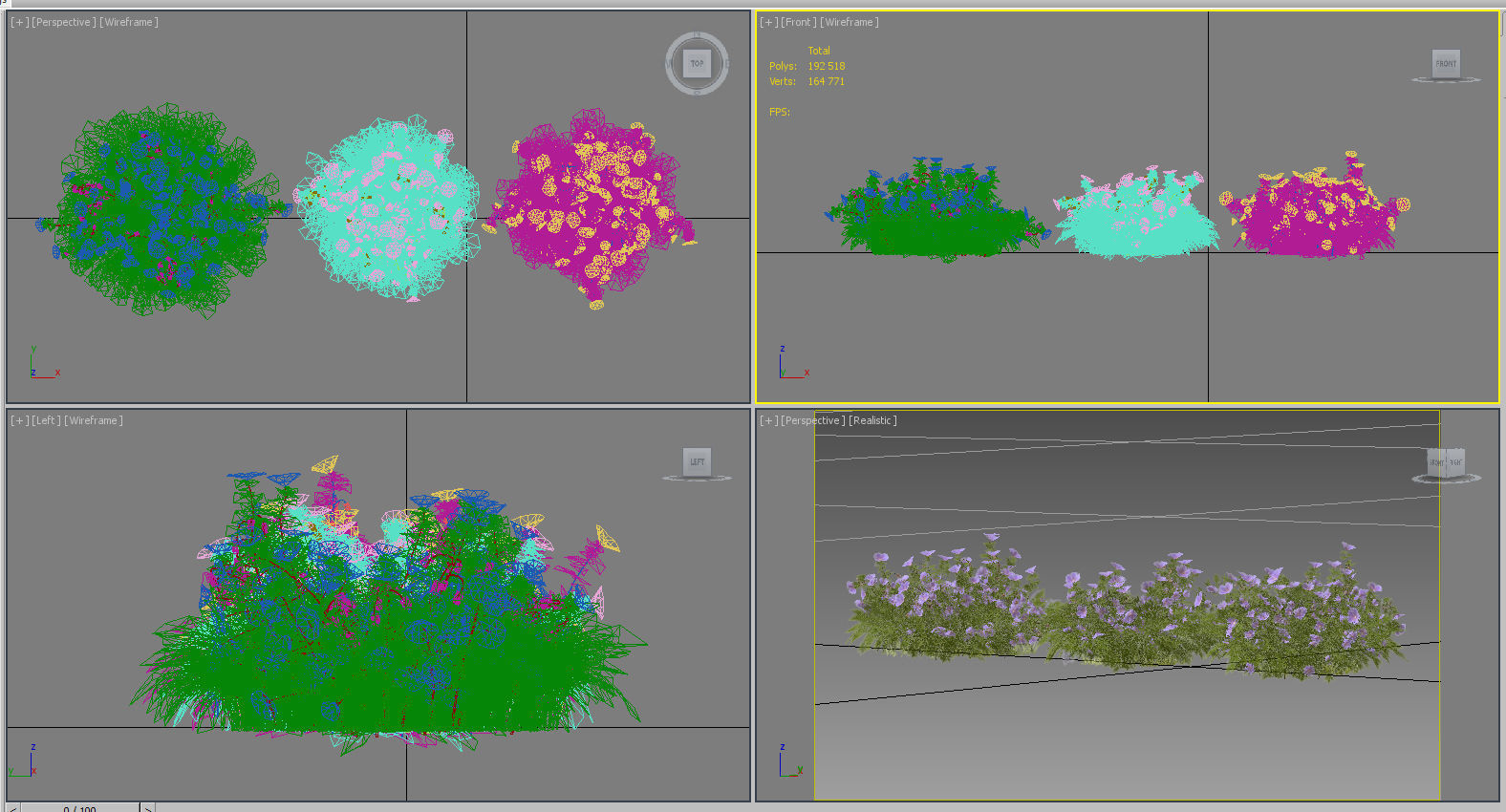 Geranium garden  3D model_18