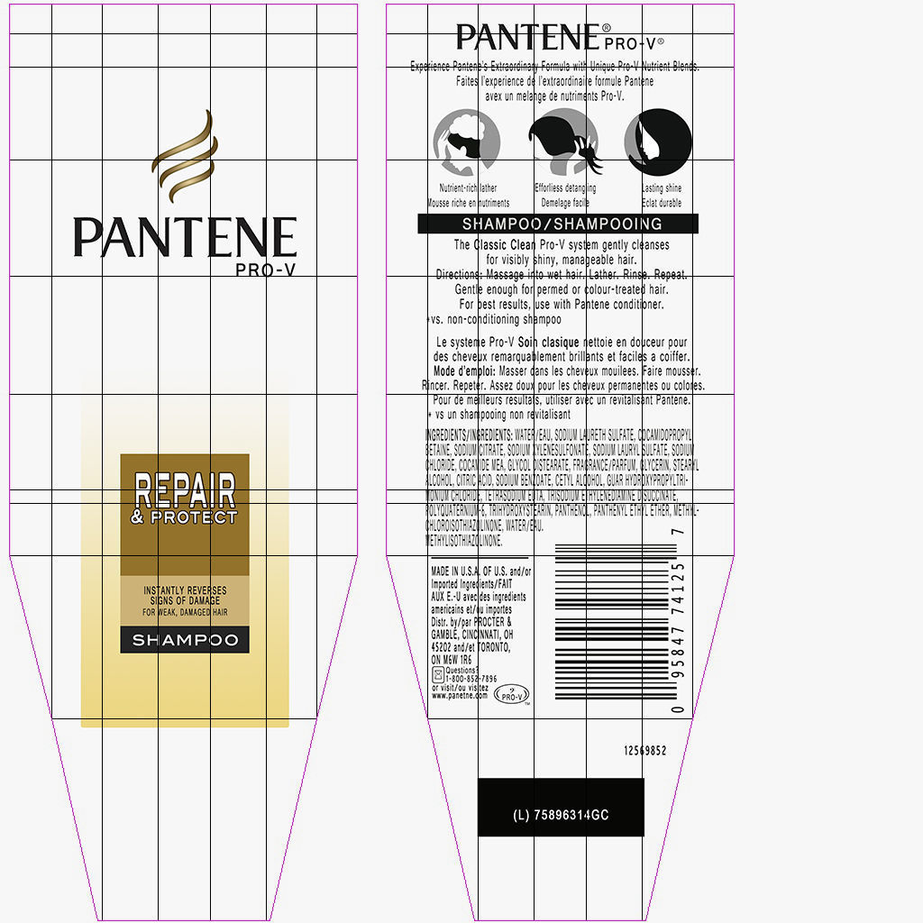 Pantene Shampoo Bottle Low-poly 3D model_4