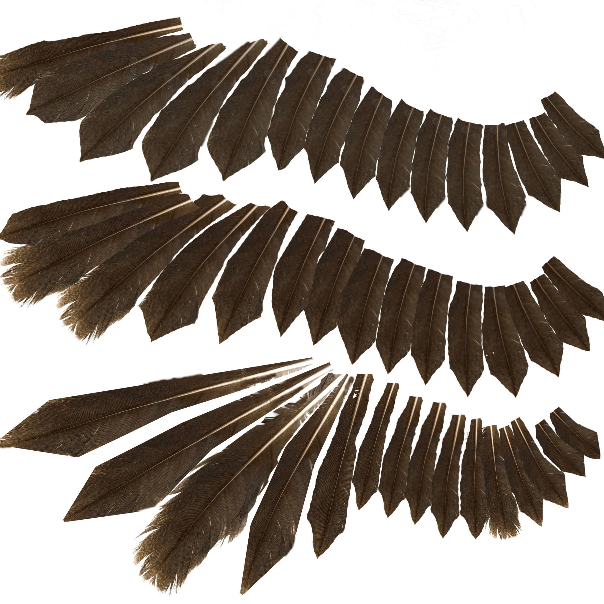 Rig Sparrow Bird  Low-poly 3D model_5