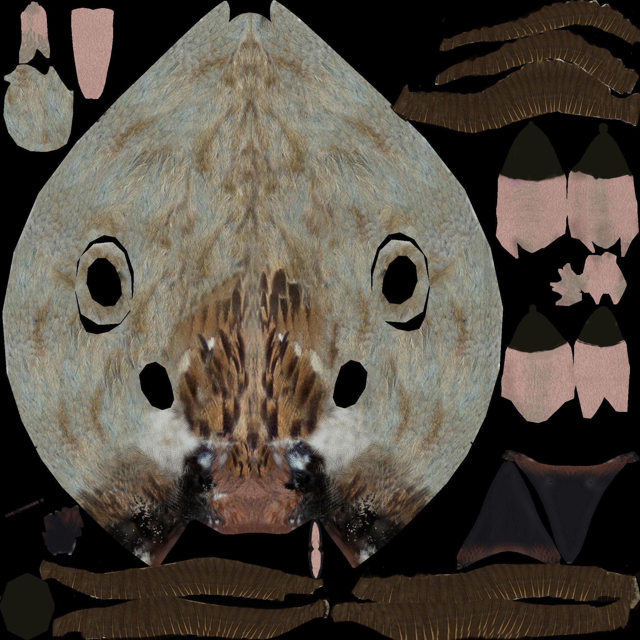 Rig Sparrow Bird  Low-poly 3D model_7